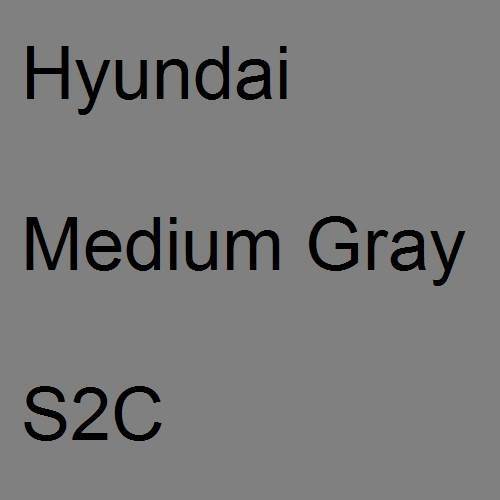 Hyundai, Medium Gray, S2C.